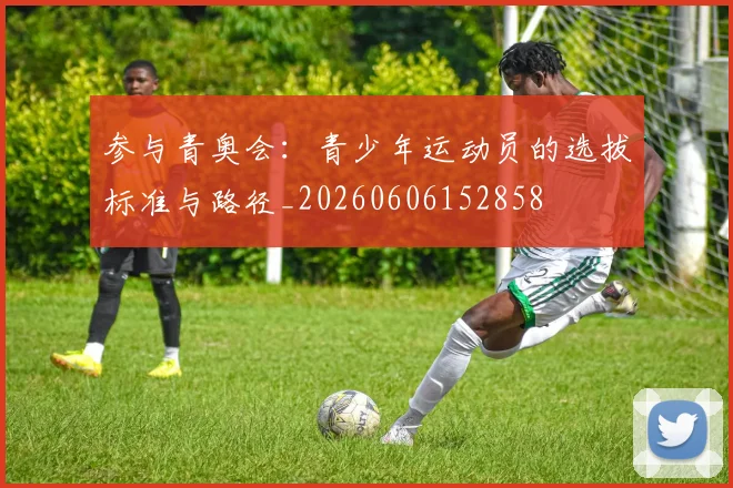 参与青奥会:青少年运动员的选拔标准与路径_20260606152858