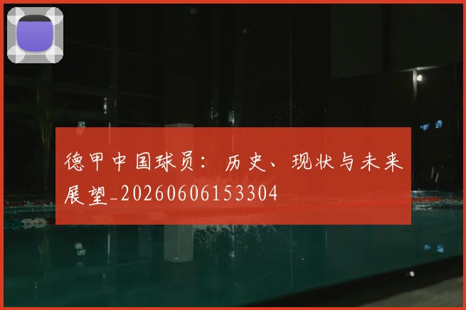德甲中国球员：历史、现状与未来展望_20260606153304