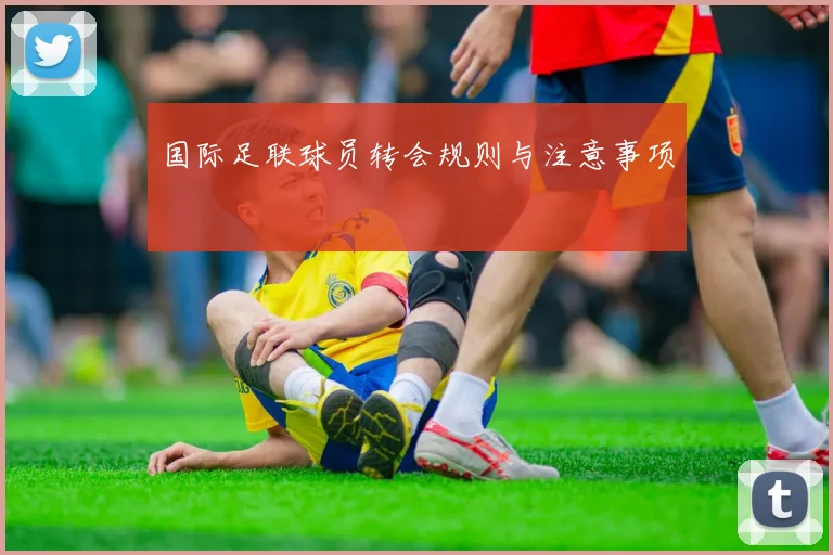国际足联球员转会规则与注意事项